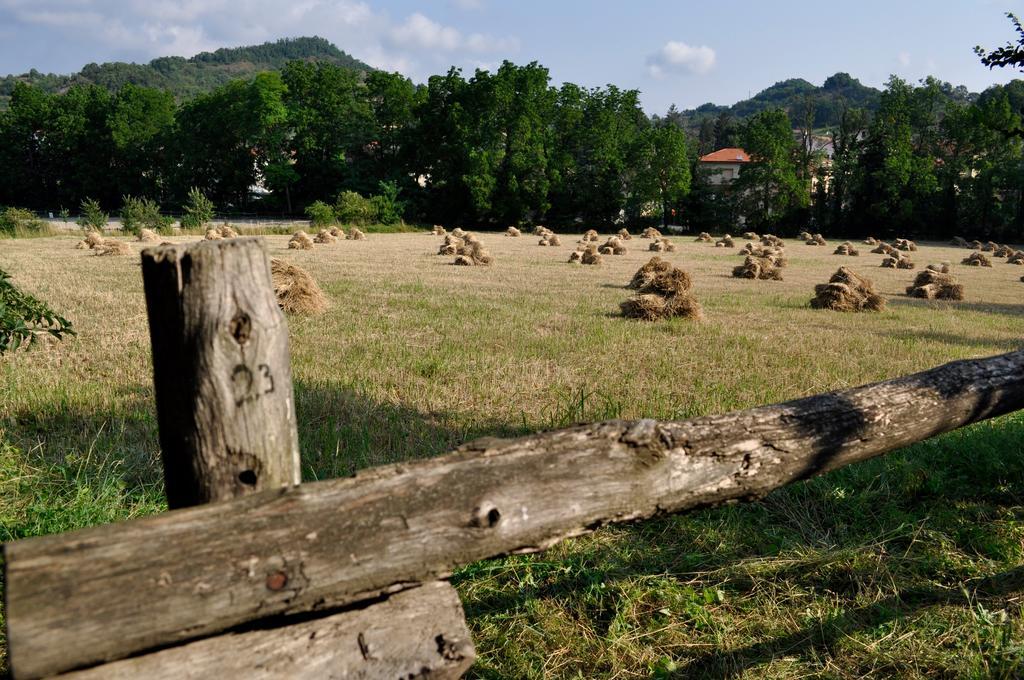 카이로 몬테노테 Le Macine Relais B&B 외부 사진