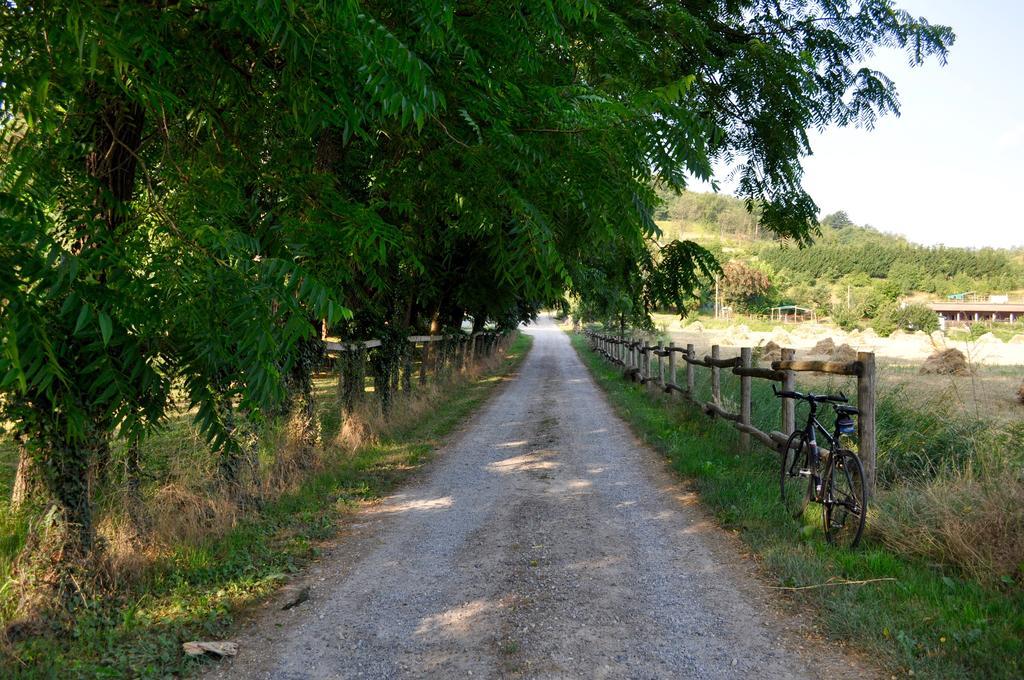 카이로 몬테노테 Le Macine Relais B&B 외부 사진